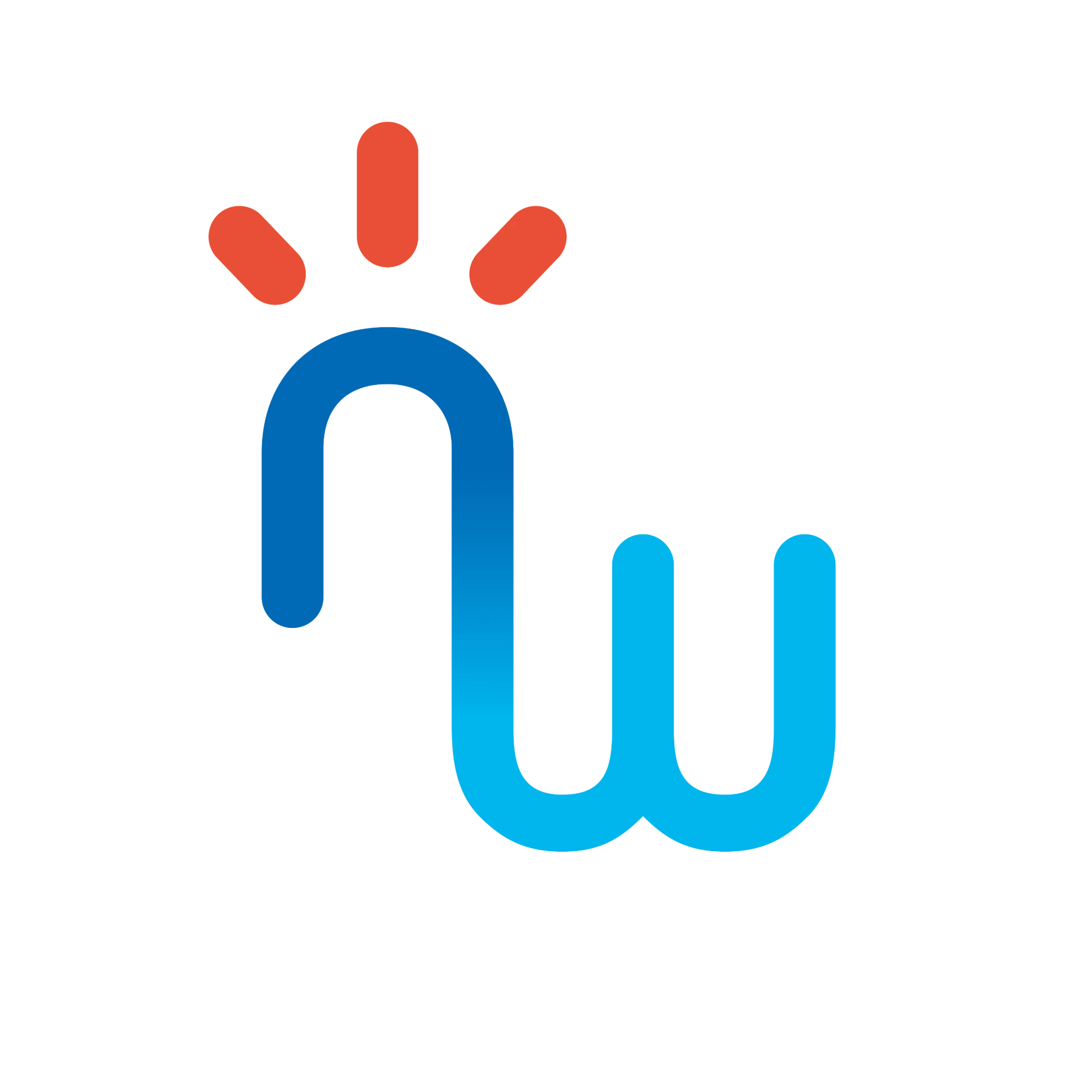 NoodweerBenelux logo